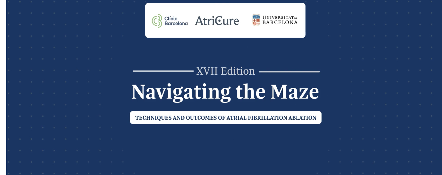 Advanced techniques for TT ablation